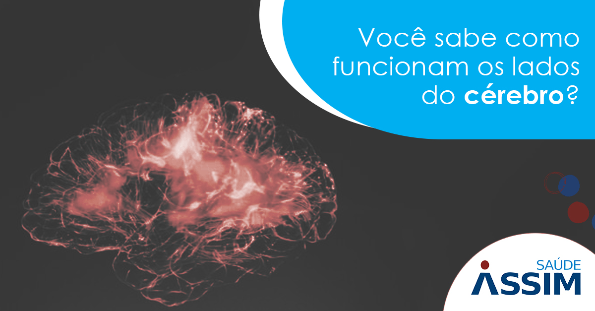 Voc� sabe como funcionam os lados do c�rebro?