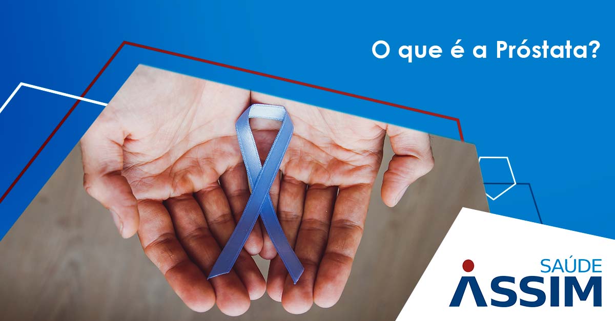 O que � a Pr�stata?